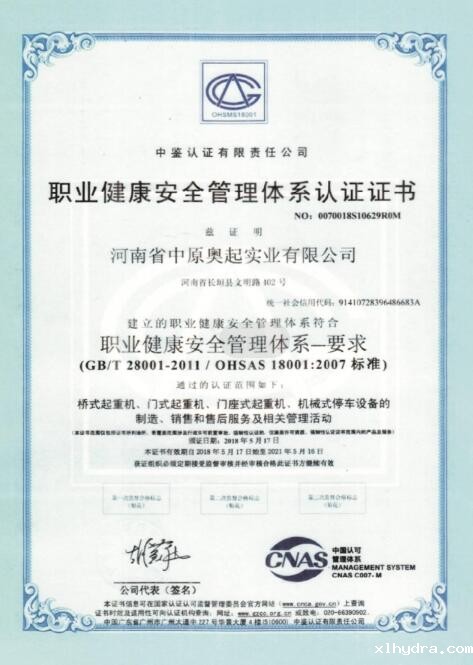 桥式起重机-星空体育官方账号职业健康**管理体系认证证书